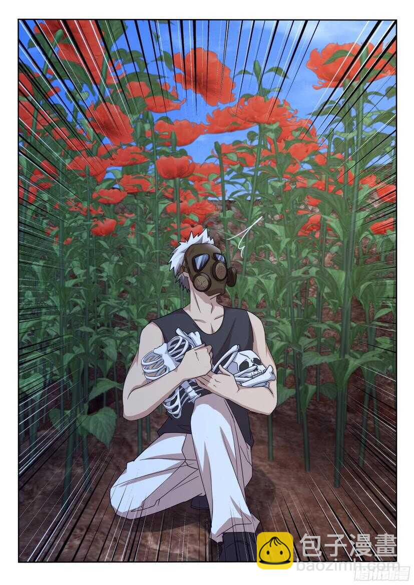 第525回 罂粟花葬-第525话