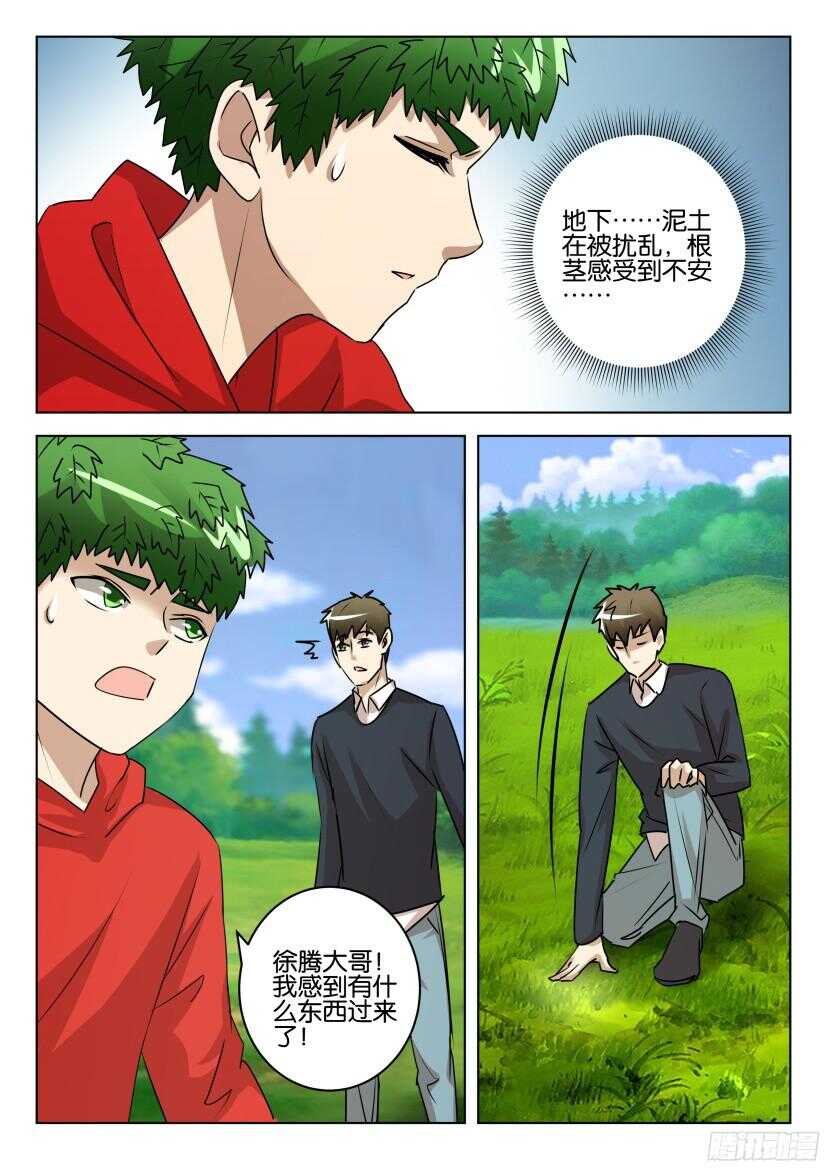 第525回 罂粟花葬-第525话
