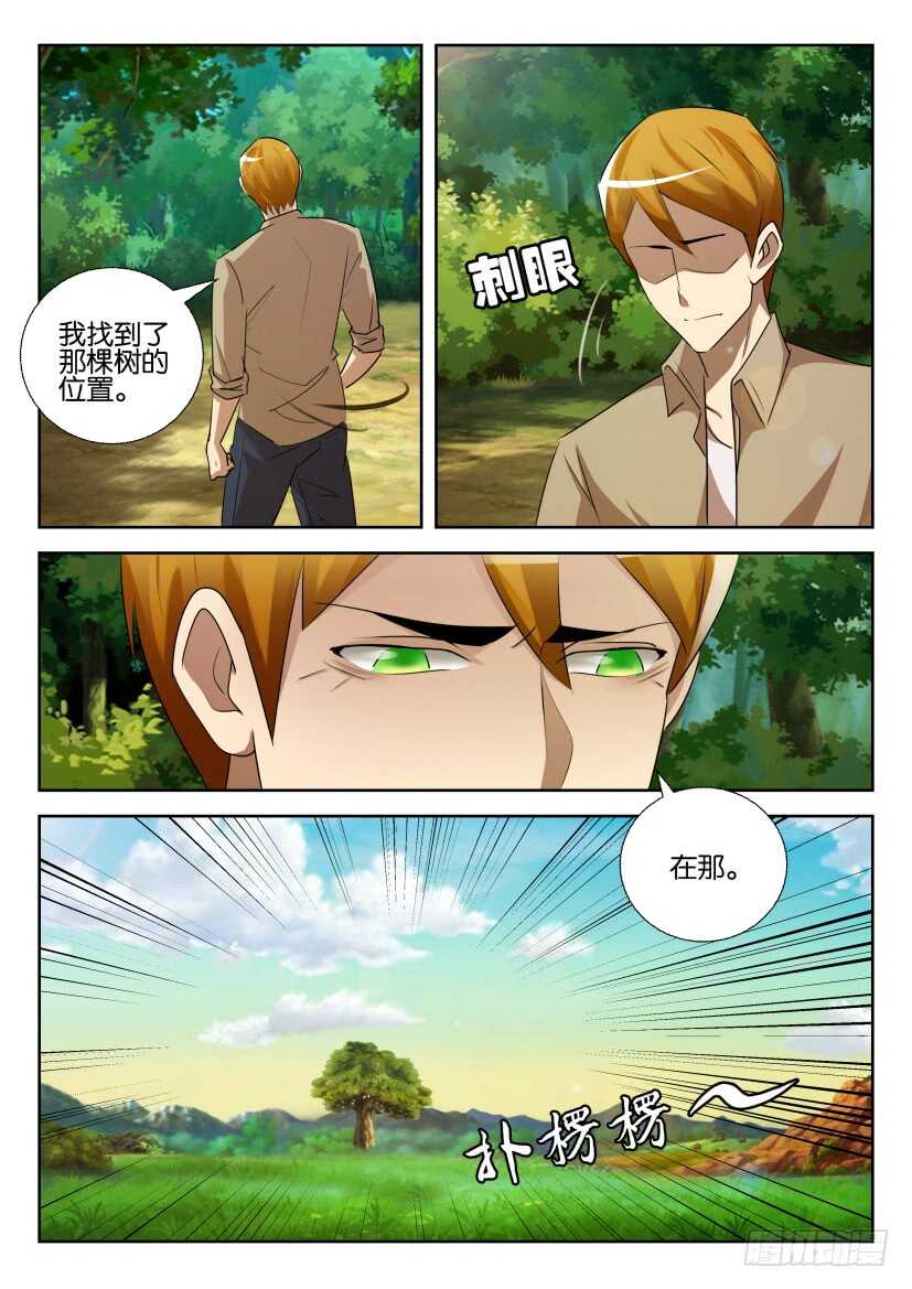 第529回 花开尽头-第529话