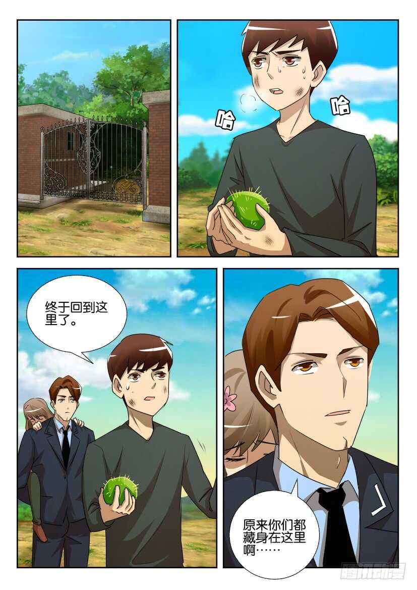 第529回 花开尽头-第529话