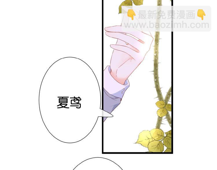 第20话  他的心意(1/3)-第21话