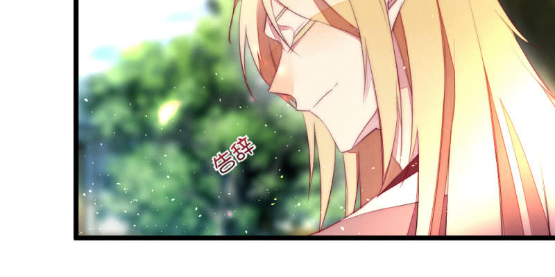 动身凉城(1/2)-第95话