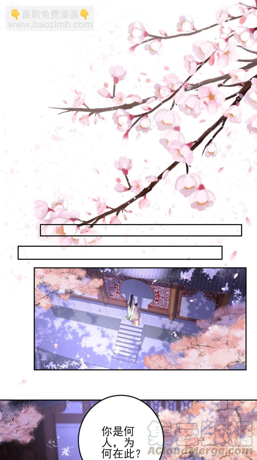 🍹宦妃天下（太监王爷强娶我） 第107话 大哥的一见钟情 第11页