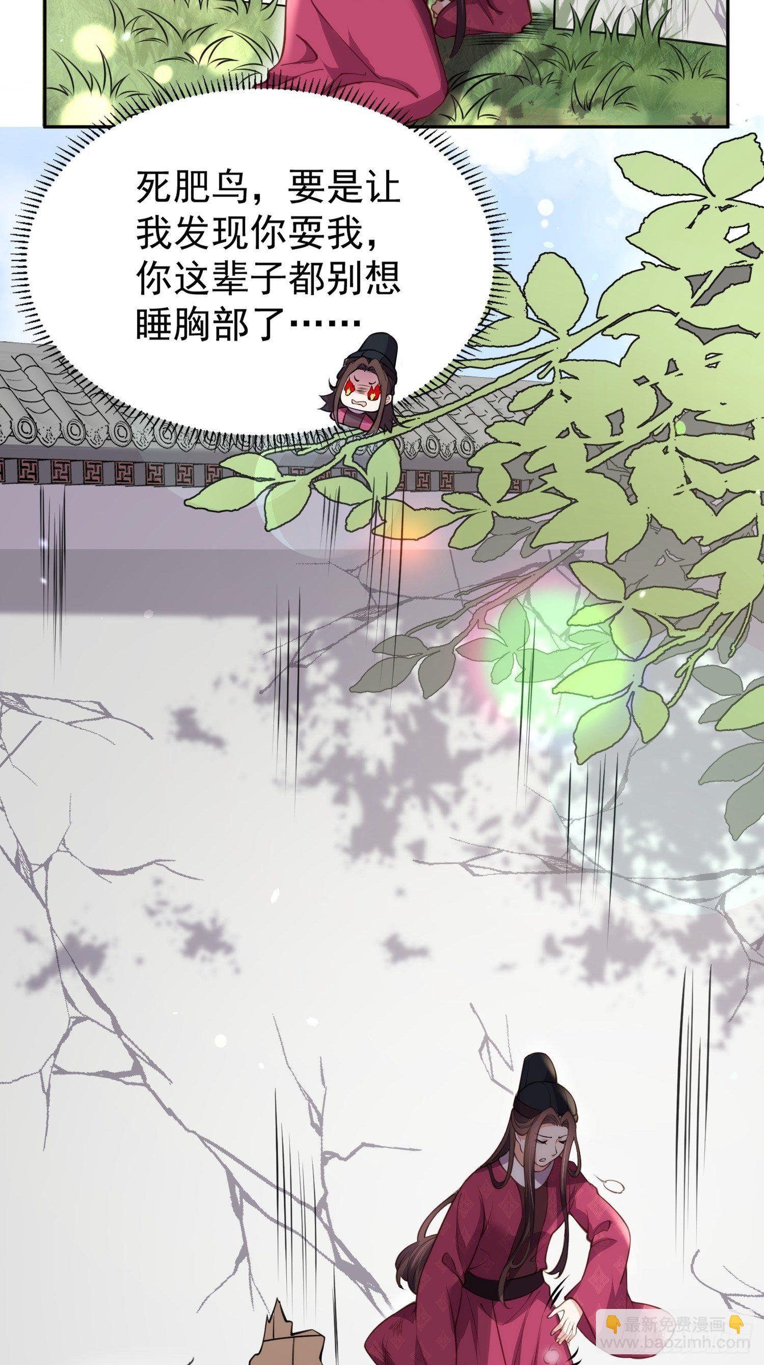 🍹宦妃天下（太监王爷强娶我） 第127话 姐姐，你救救洛儿 第29页