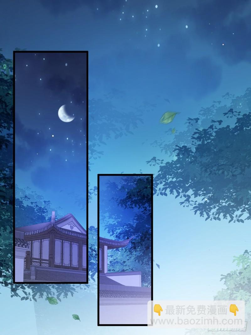 🍹宦妃天下（太监王爷强娶我） 第185话 丫头真是好算计 第22页