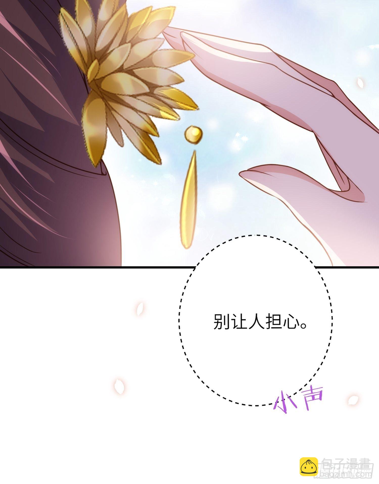 🍹宦妃天下（太监王爷强娶我） 第214话 别让人担心 第10页