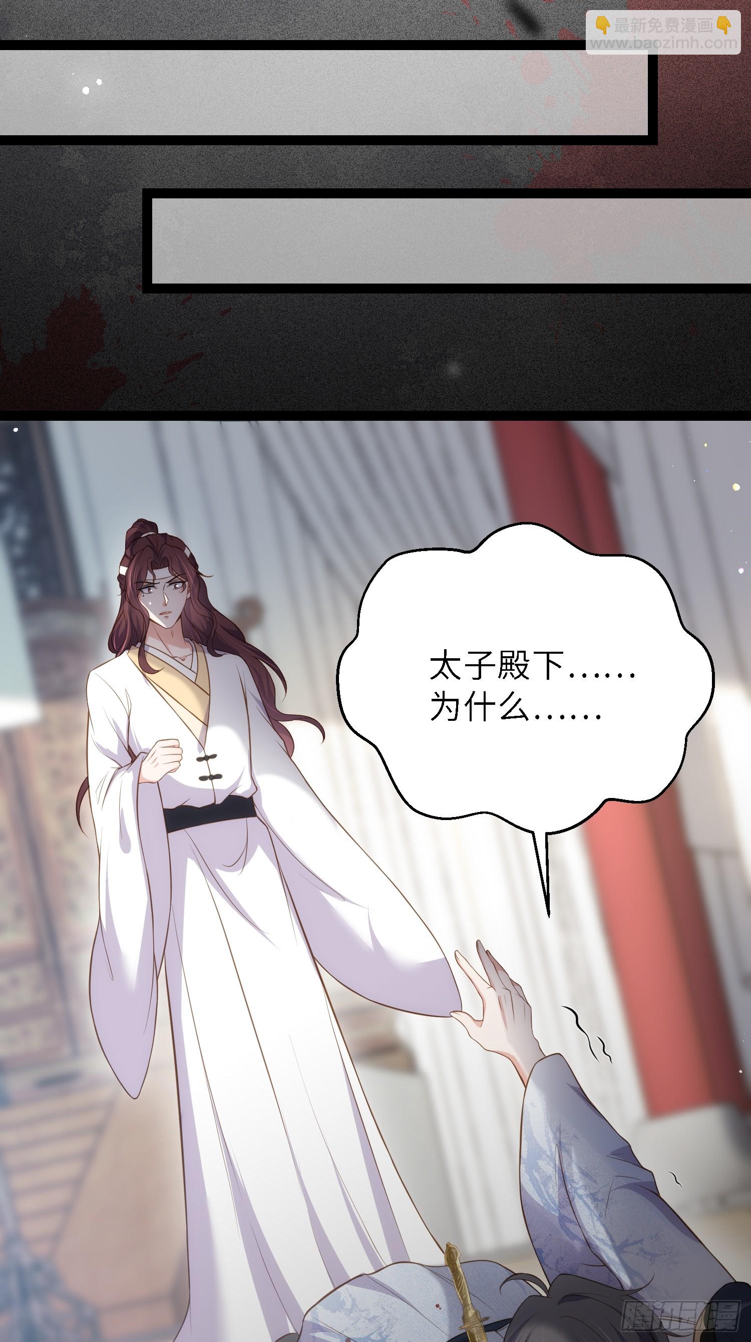 🍹宦妃天下（太监王爷强娶我） 第295话 两份遗诏 第2页