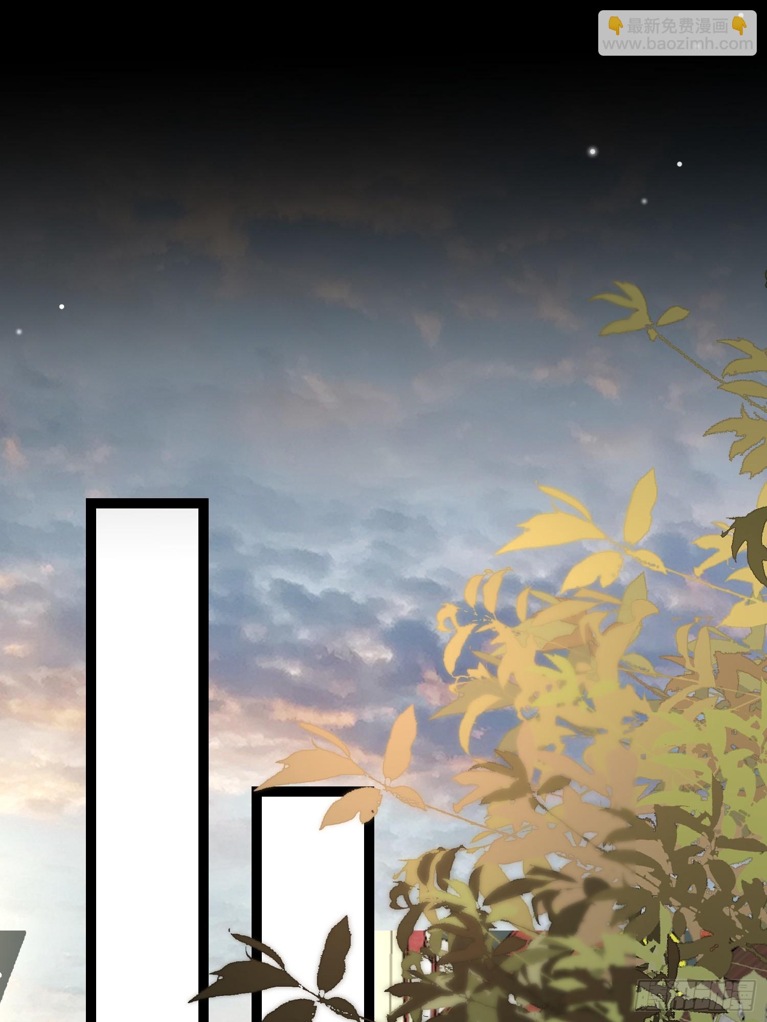 🍹宦妃天下（太监王爷强娶我） 第303 新帝登基 第10页