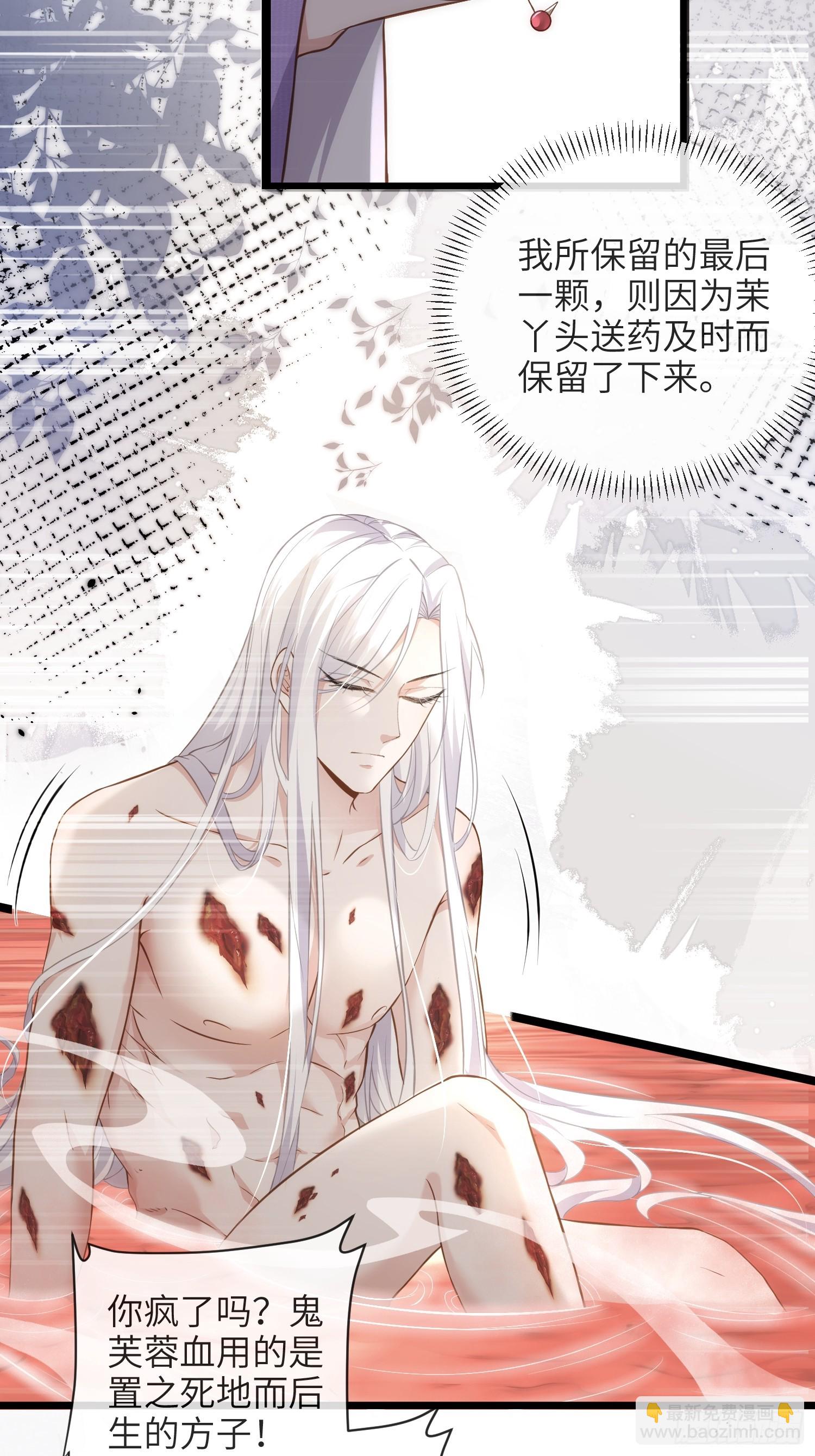 🍹宦妃天下（太监王爷强娶我） 第426话 阿九回来了？！ 第17页