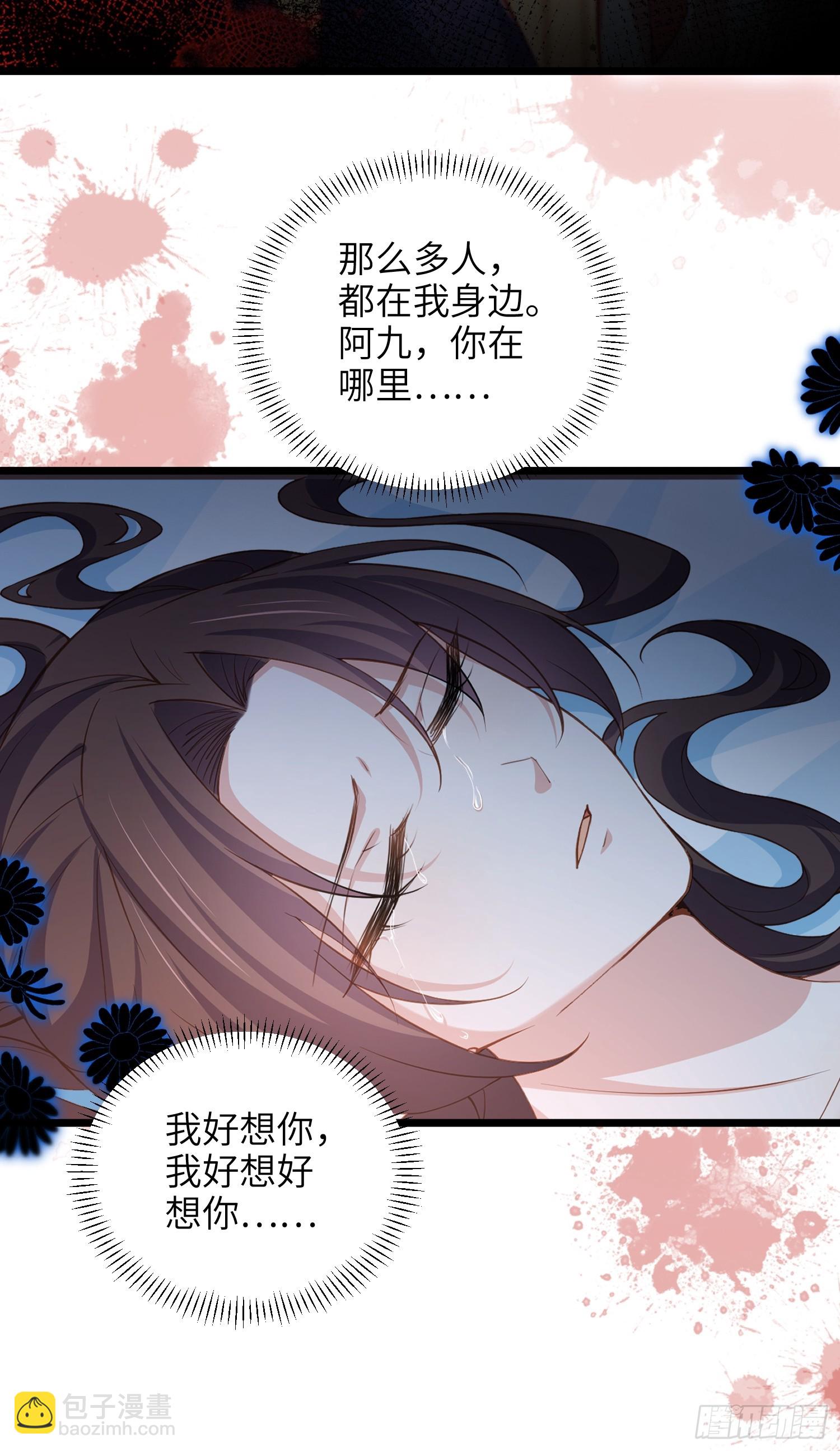 🍹宦妃天下（太监王爷强娶我） 第426话 阿九回来了？！ 第5页