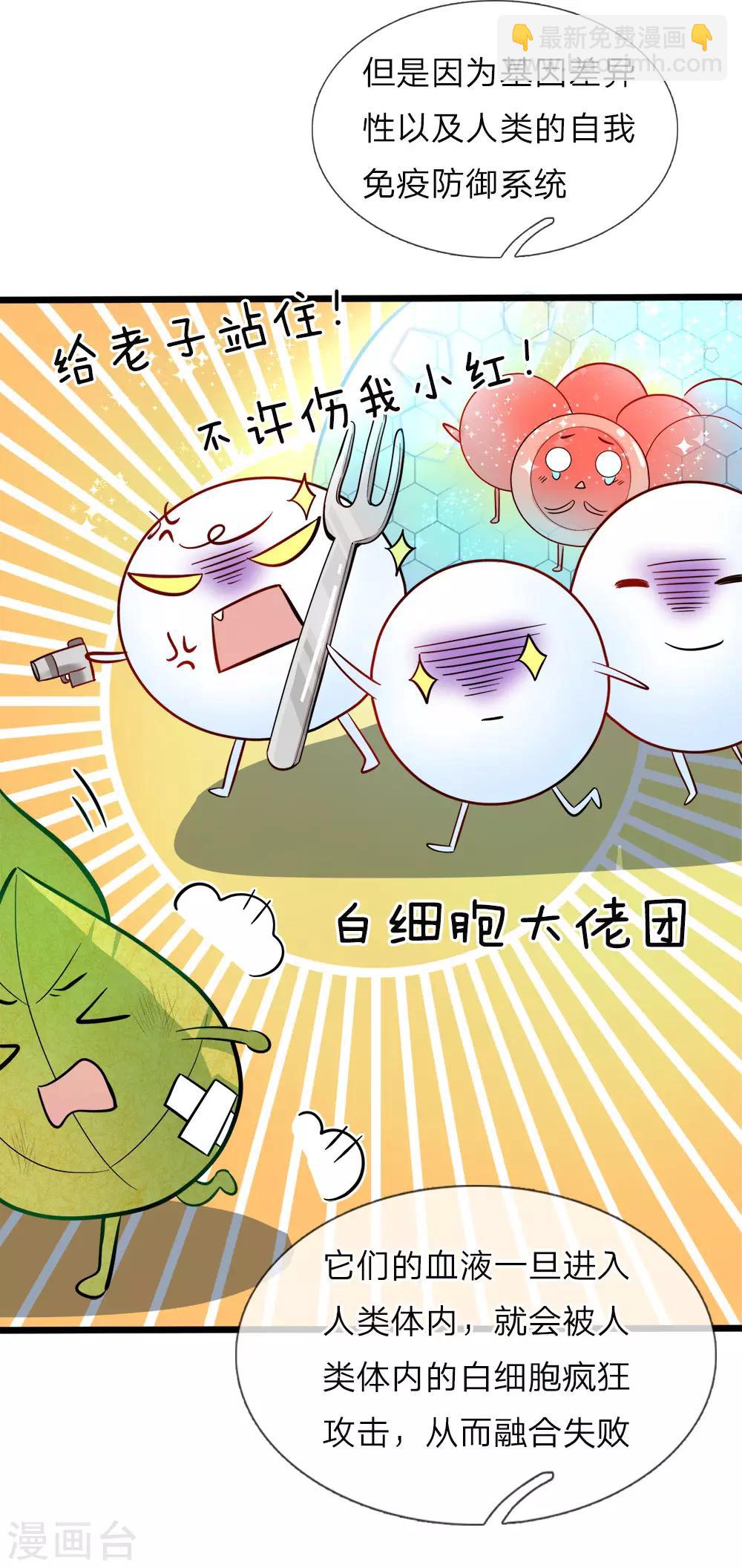 第75话 凶哒哒的女孩真可-第77话