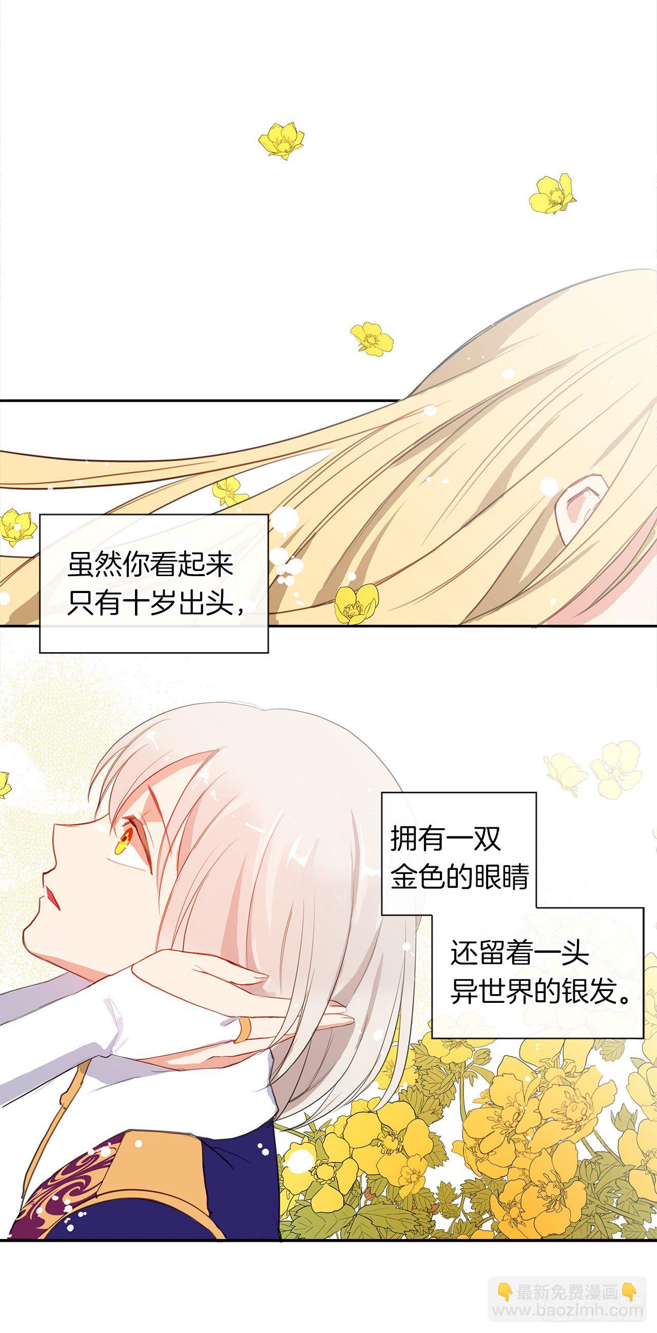 4.这一世换我来护你(1/2)-第5话