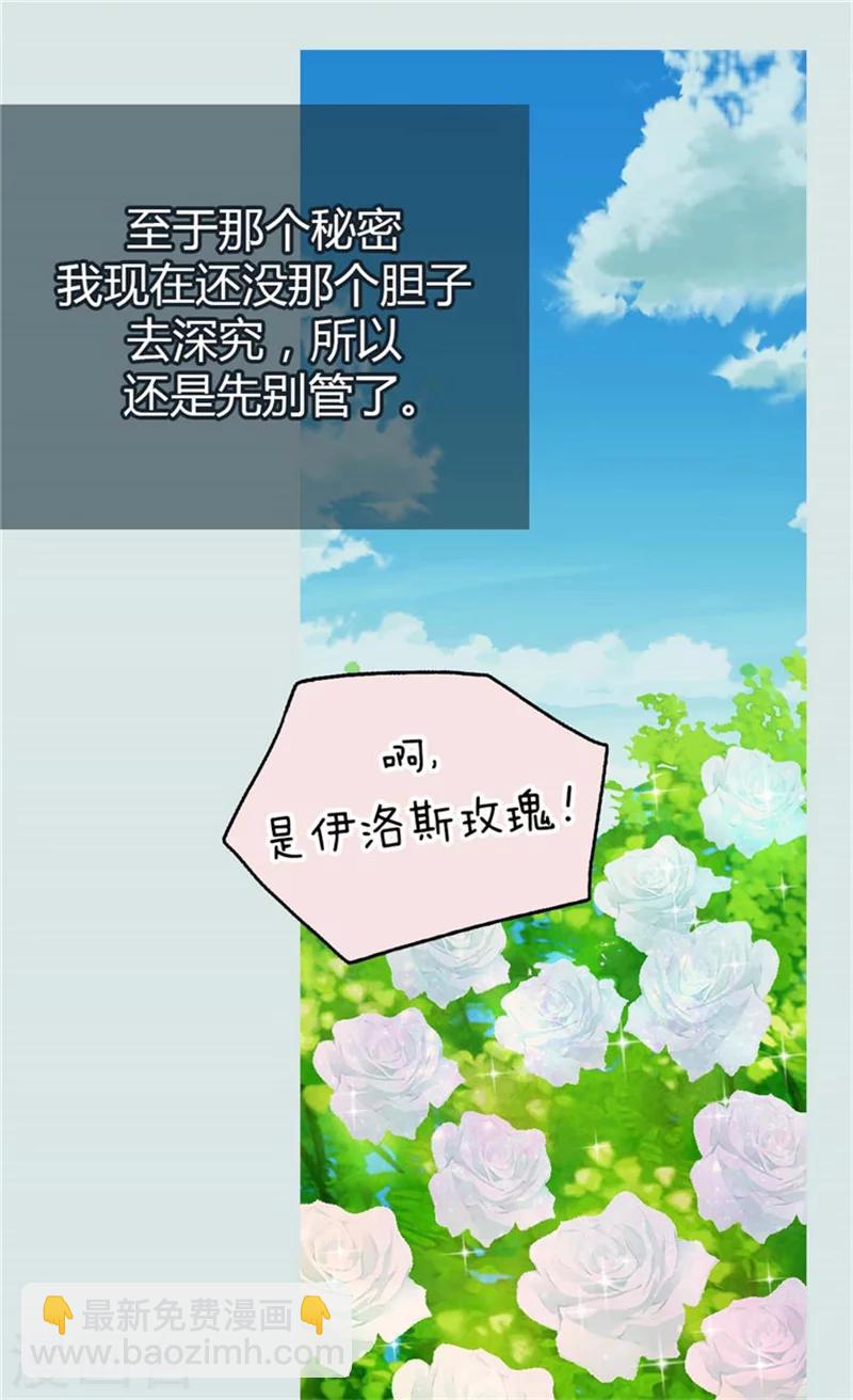🍹皇帝的独生女 第100话 跟阿西西的正式会面 第20页