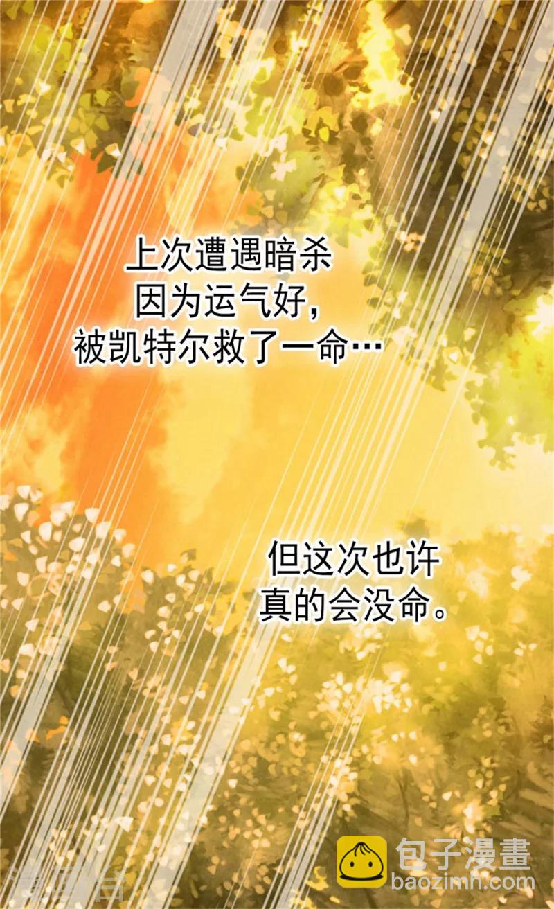 🍹皇帝的独生女 第138话 小公主被绑架了 第23页