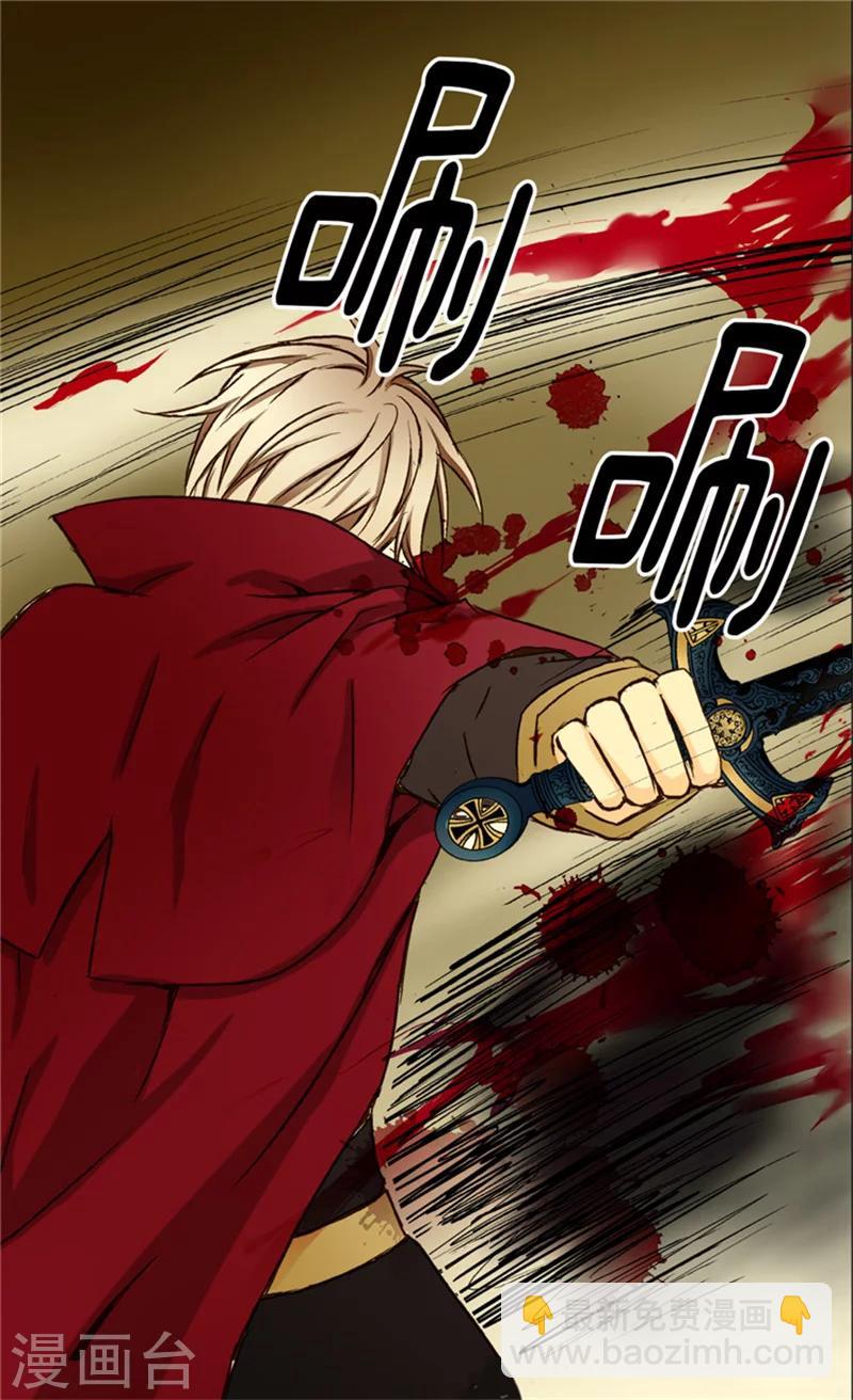 🍹皇帝的独生女 第20话 遭遇刺杀 第13页