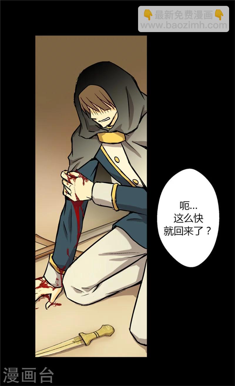🍹皇帝的独生女 第20话 遭遇刺杀 第9页