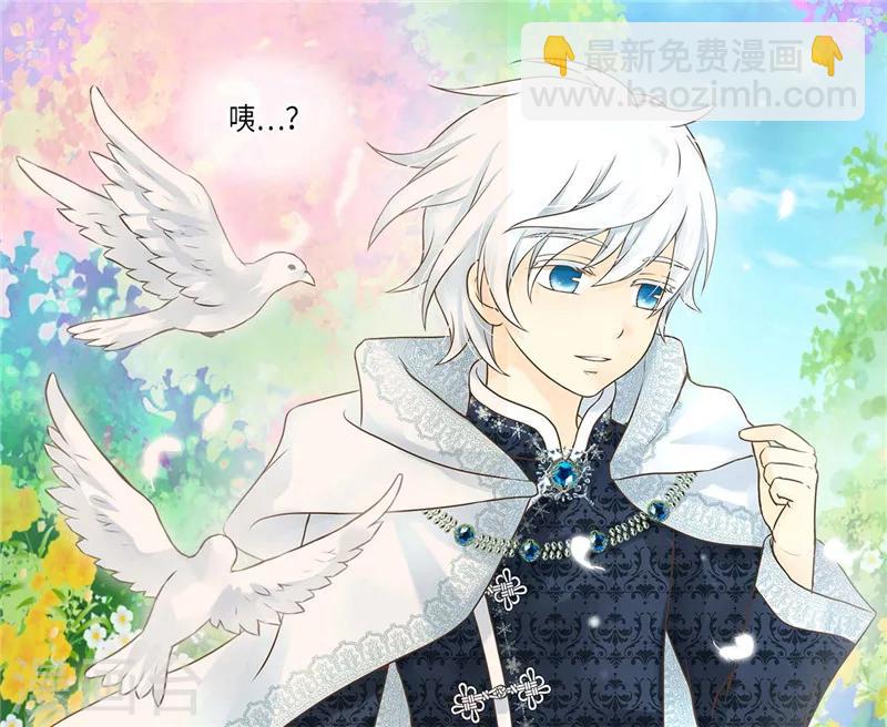 🍹皇帝的独生女 第236话 双胞胎的哥哥 第13页
