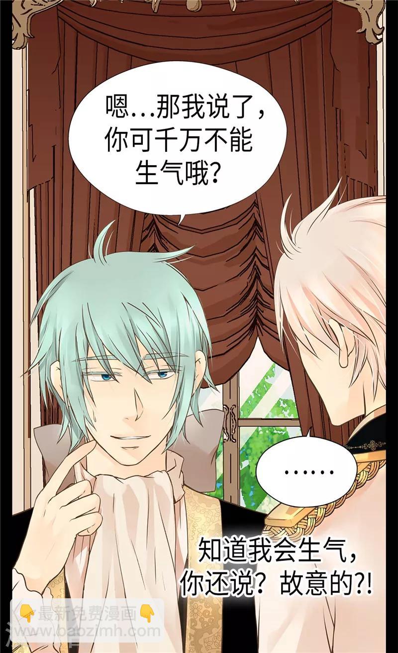 🍹皇帝的独生女 第274话 “平民”对抗骑士团 第11页