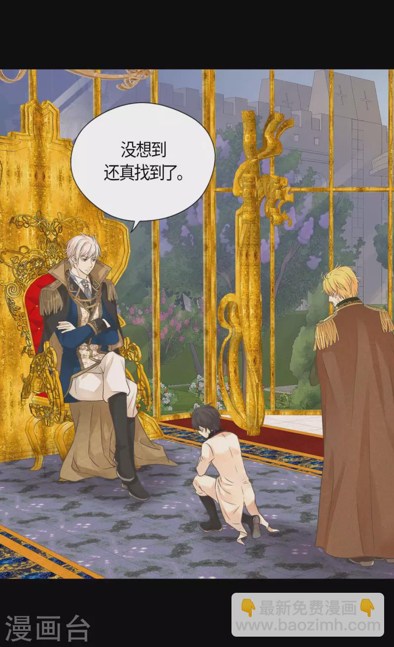 🍹皇帝的独生女 第454话 耻辱的初次见面 第5页