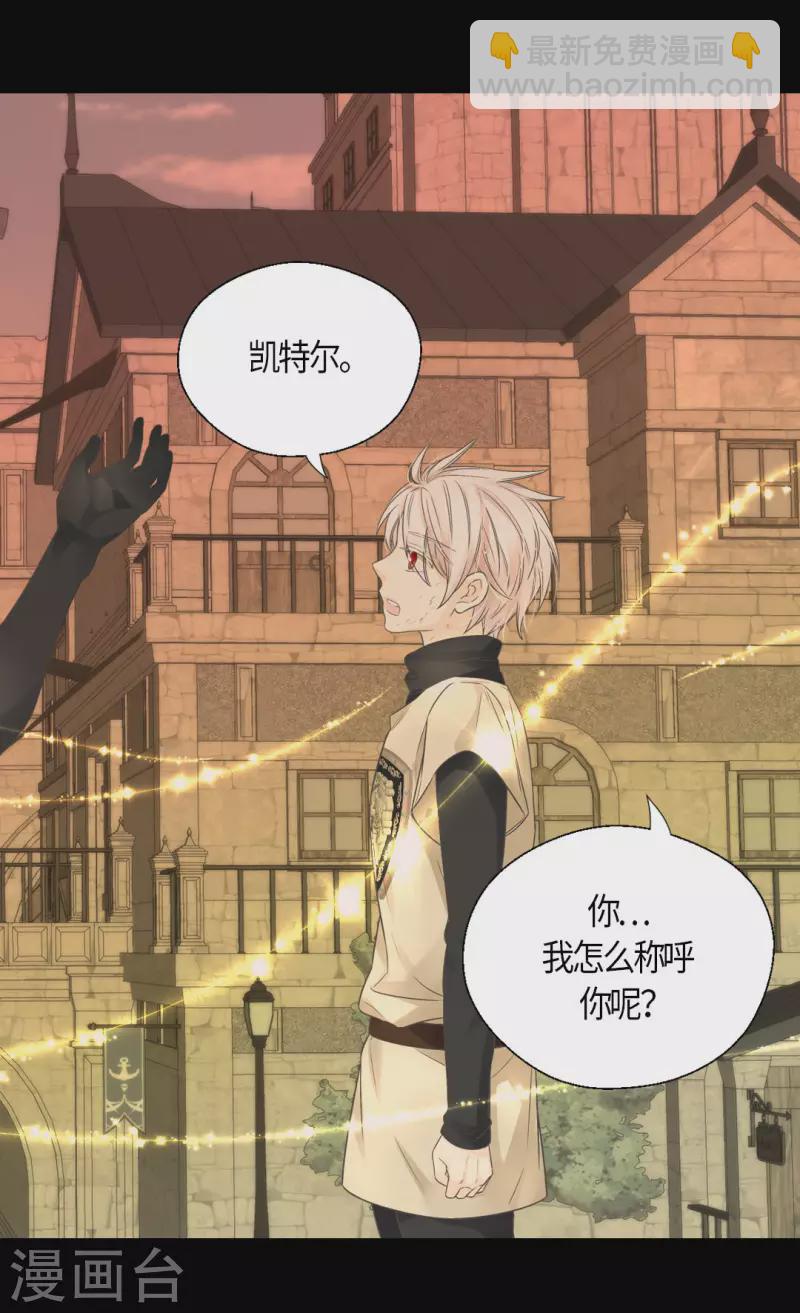 🍹皇帝的独生女 第484话 丹兰斯坦与凯特尔相见 第19页