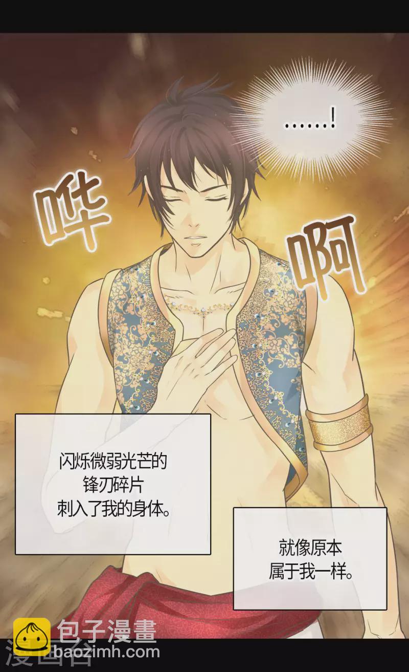 🍹皇帝的独生女 第484话 丹兰斯坦与凯特尔相见 第3页