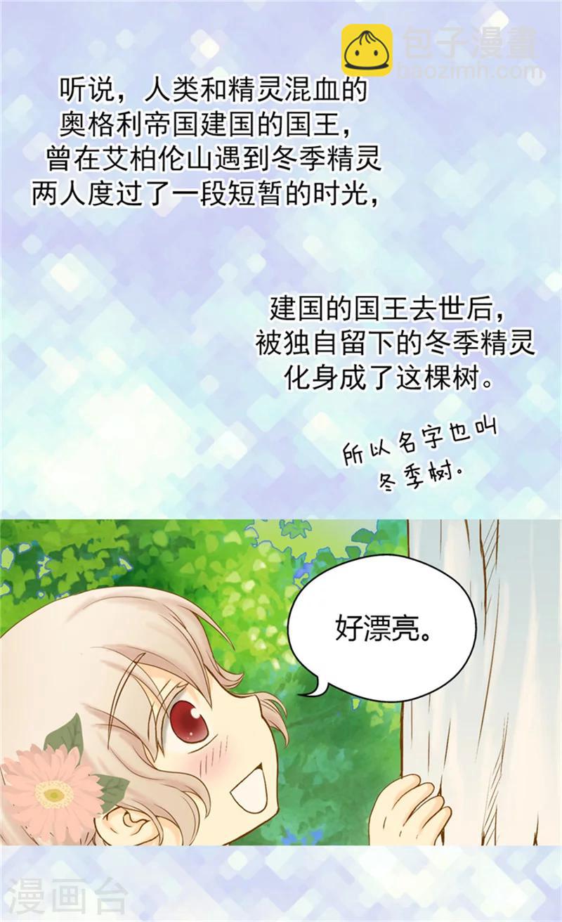 🍹皇帝的独生女 第60话 冬季树 第3页