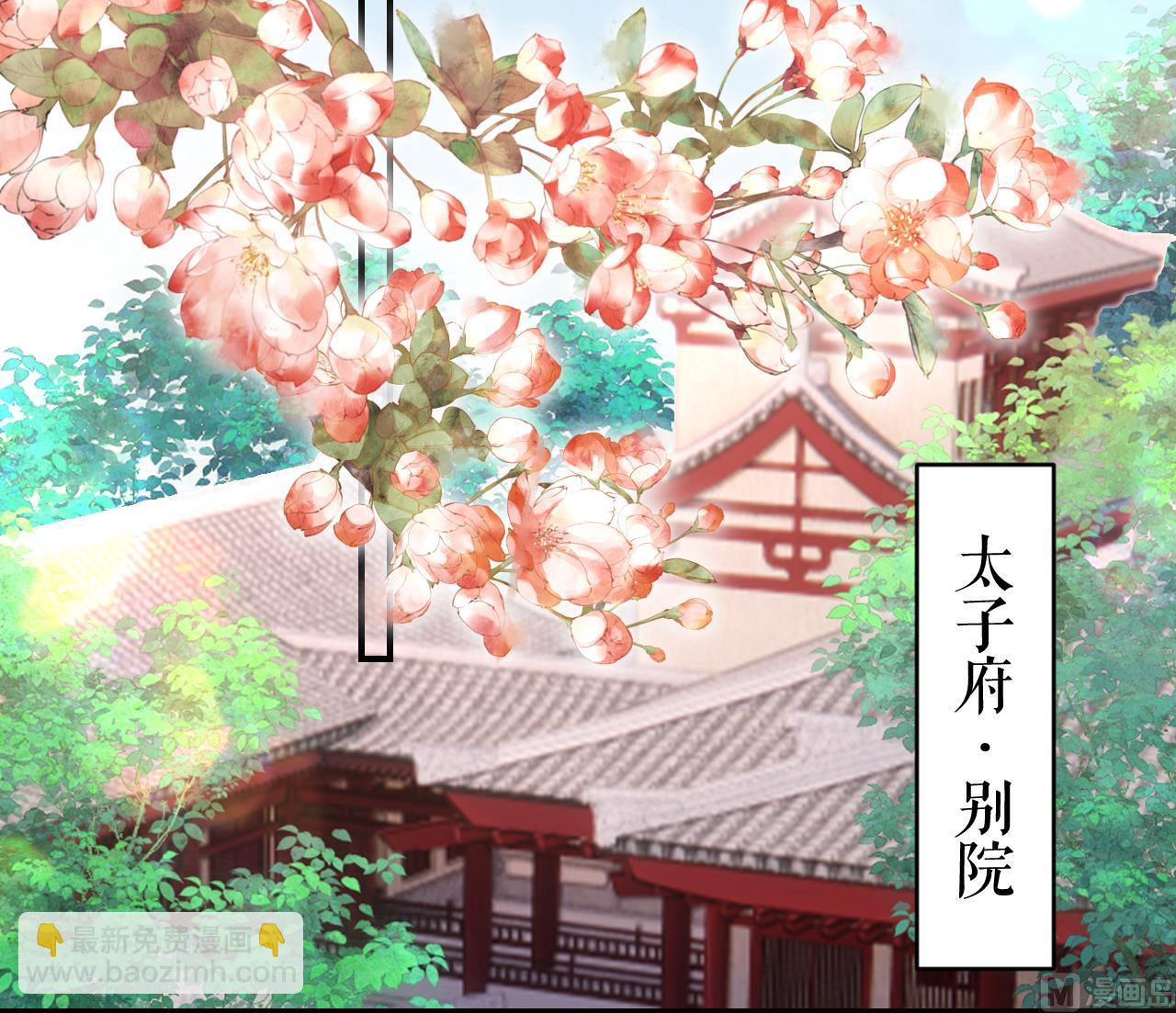第63话 走不出这太子府了(1/3)-第71话