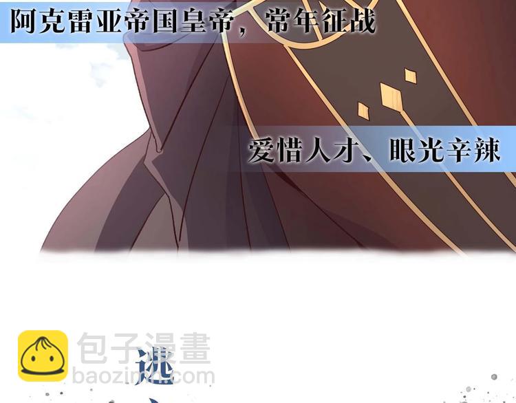 🍹皇帝与女骑士 你绝对没见过这种钢铁女骑士！ 第45页