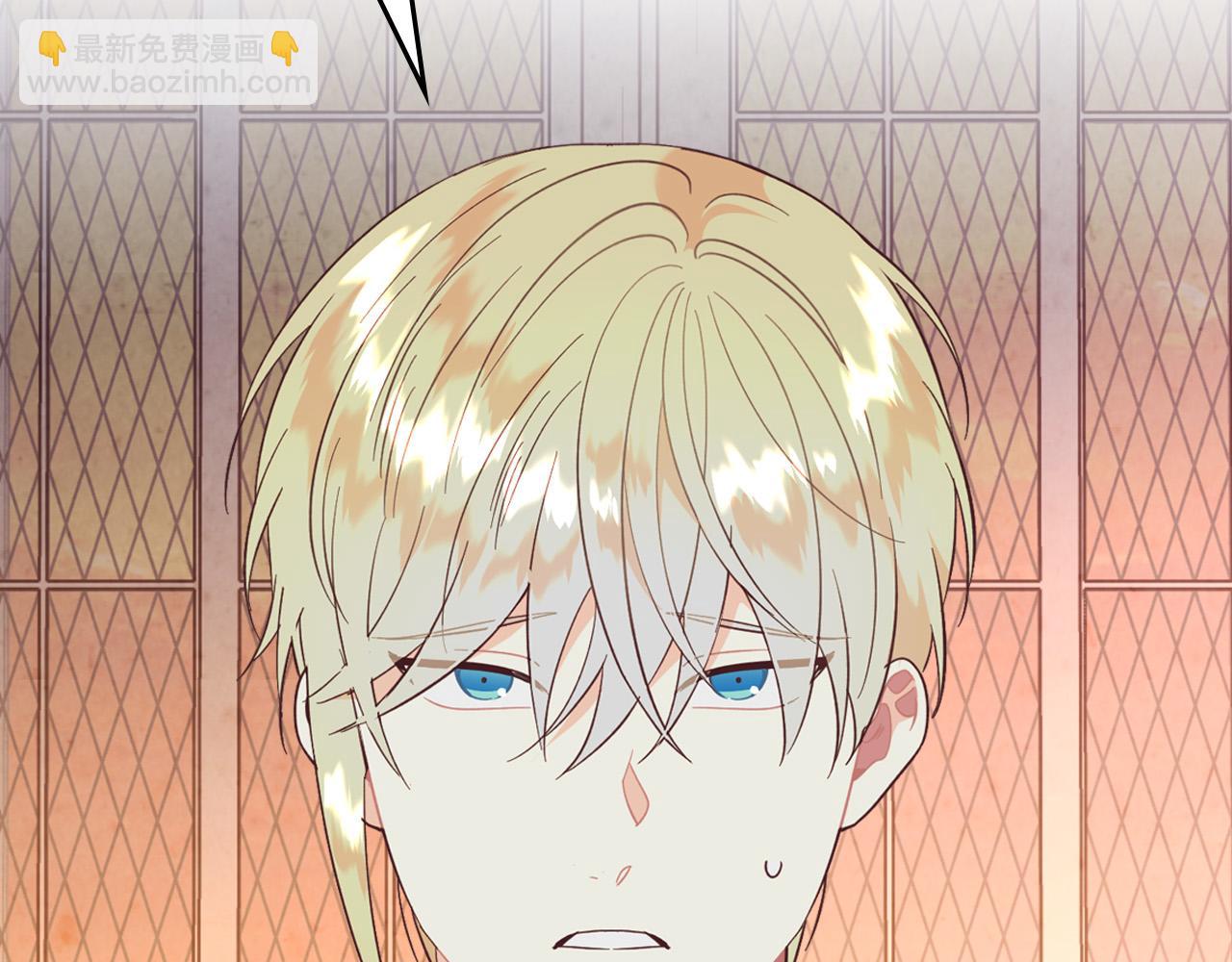 🍹皇帝与女骑士 第153话 躲起来生孩子！ 第7页
