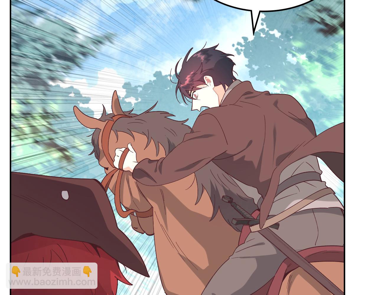 🍹皇帝与女骑士 第193话 重写大陆法律 第41页