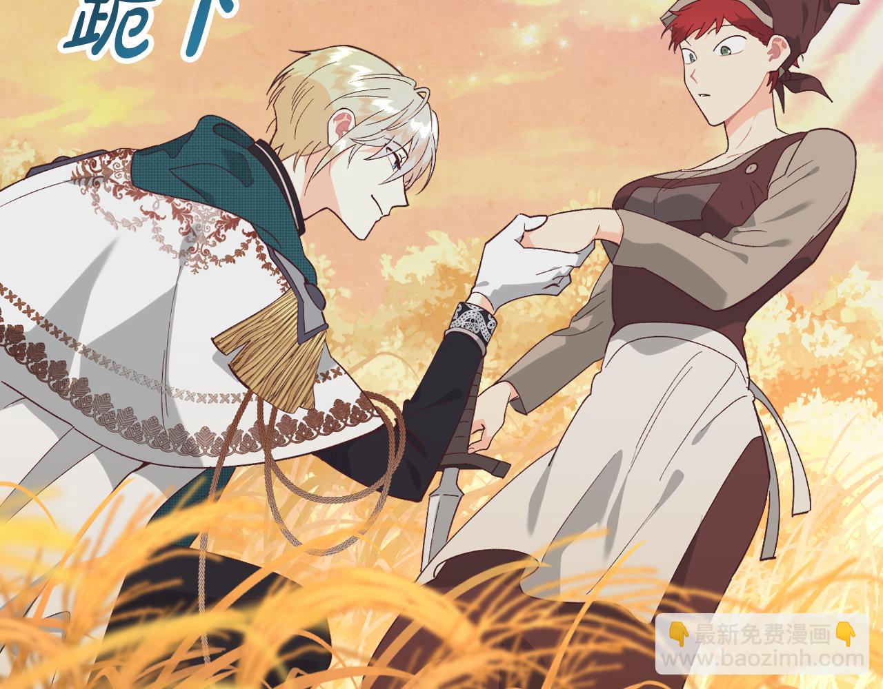 🍹皇帝与女骑士 第195话 求婚 第37页