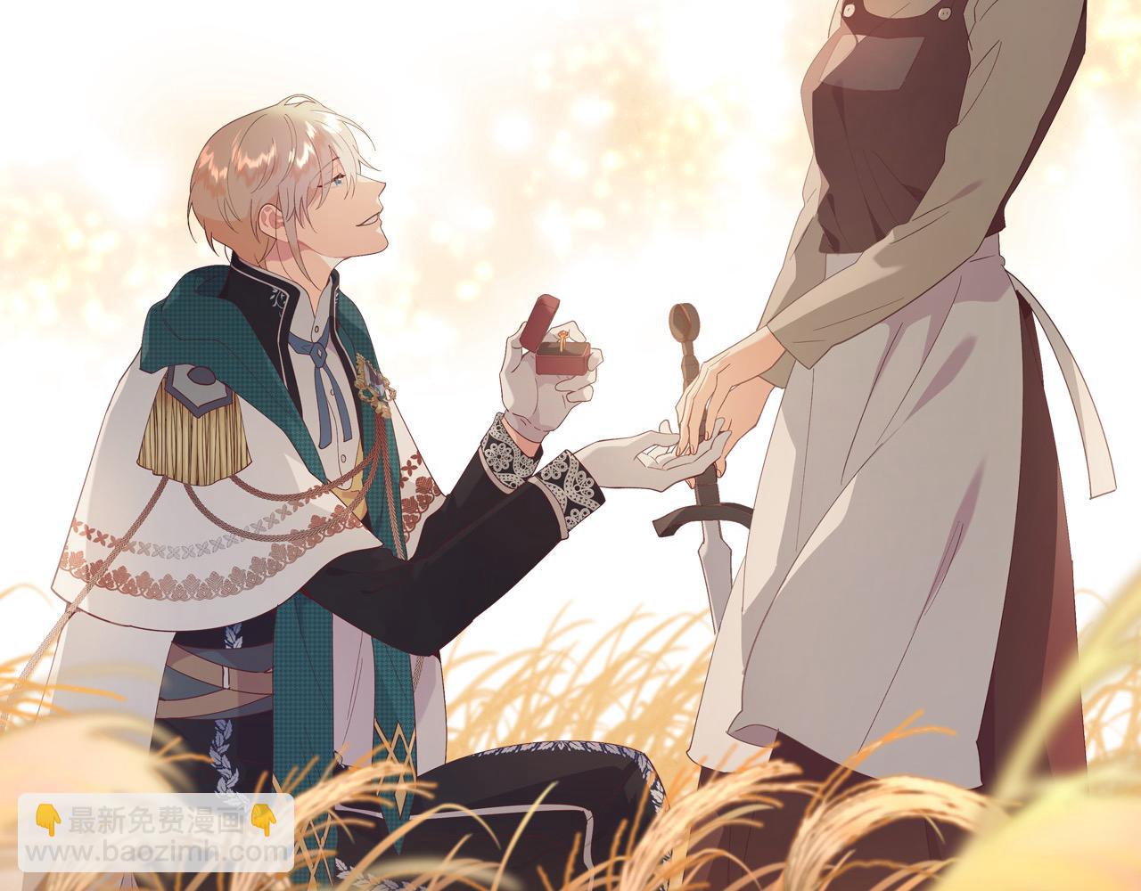 🍹皇帝与女骑士 第195话 求婚 第46页