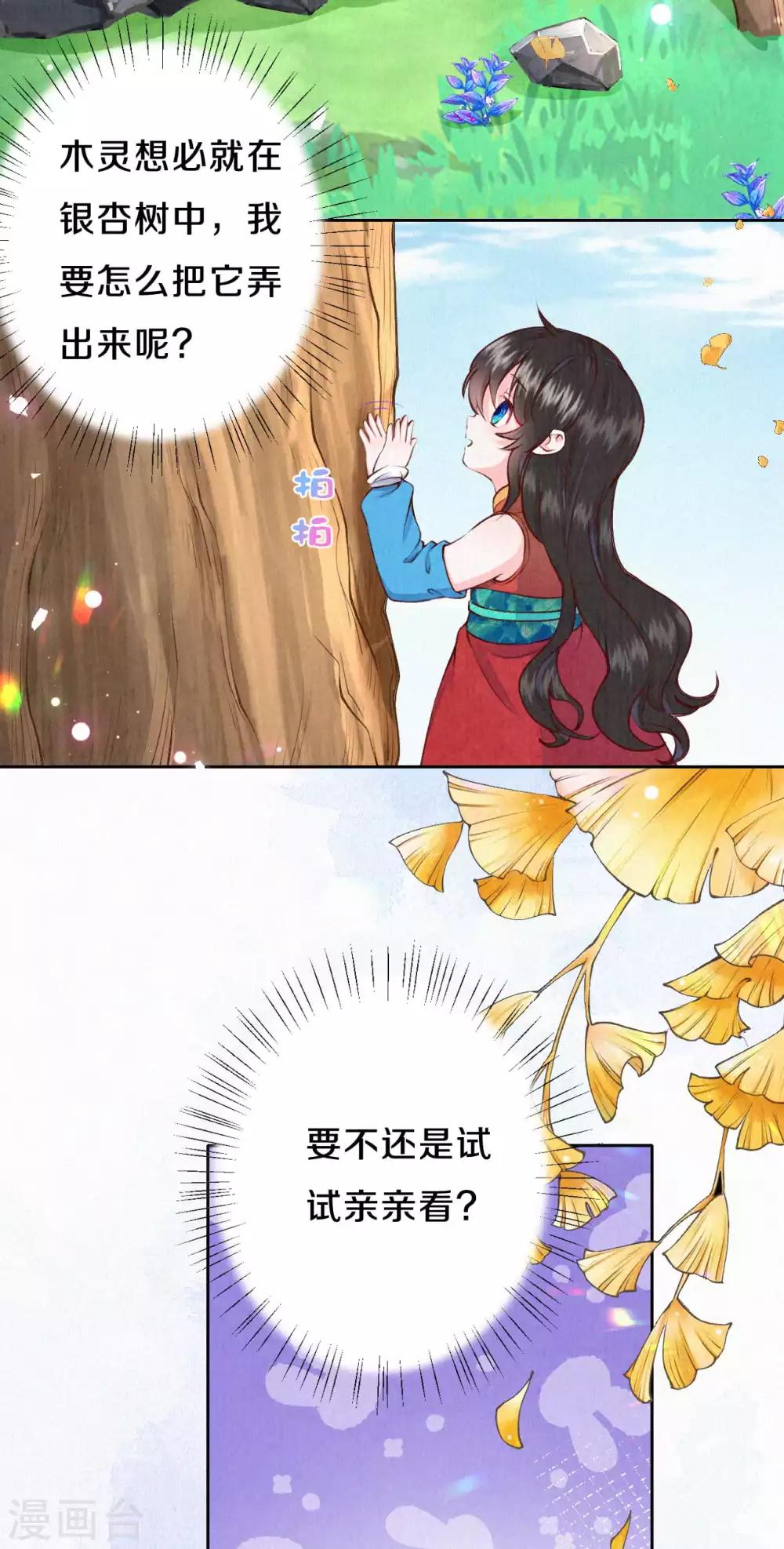 第36话 木灵寄宿之处-第43话