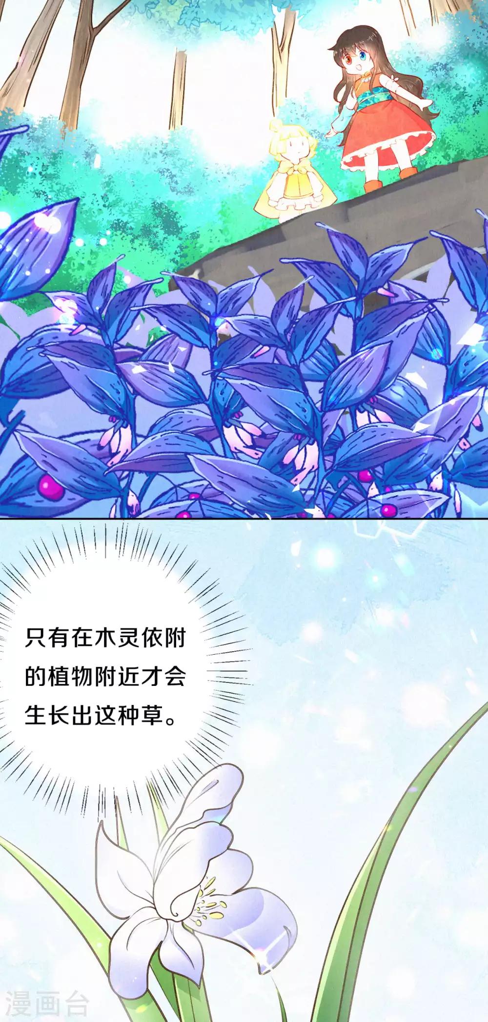第36话 木灵寄宿之处-第43话