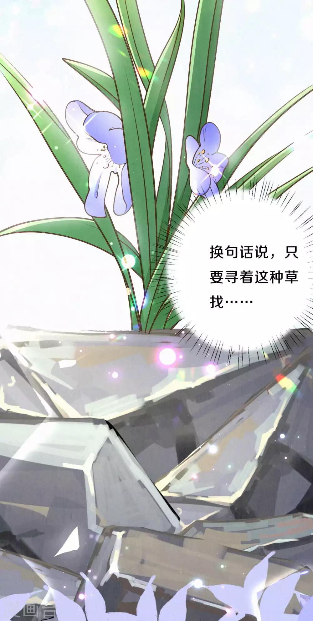 第36话 木灵寄宿之处-第43话
