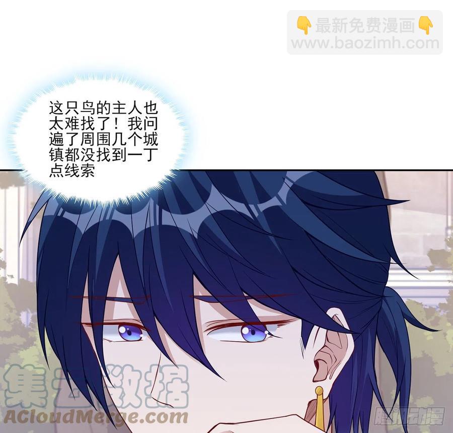 136话 寻鸟三人组(1/2)-第137话