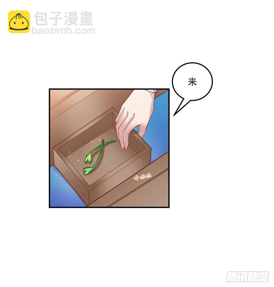 66话 爸爸与妈妈的相遇(1/2)-第67话