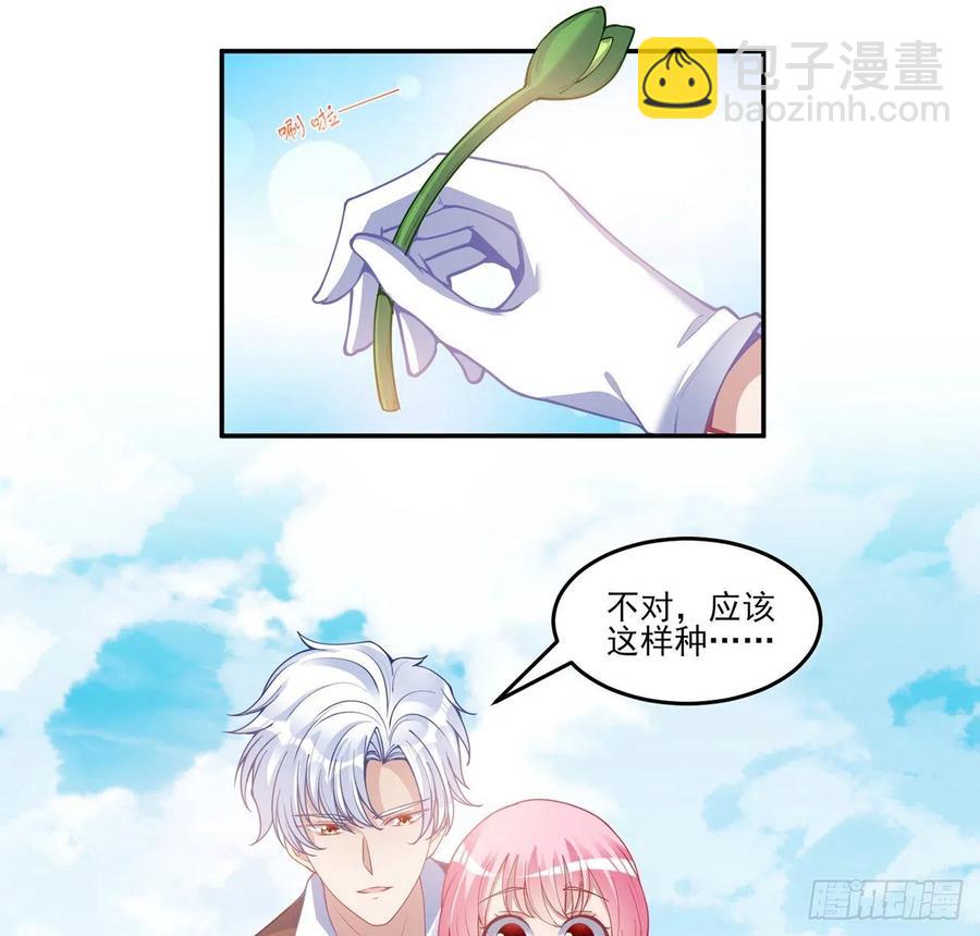 66话 爸爸与妈妈的相遇(1/2)-第67话