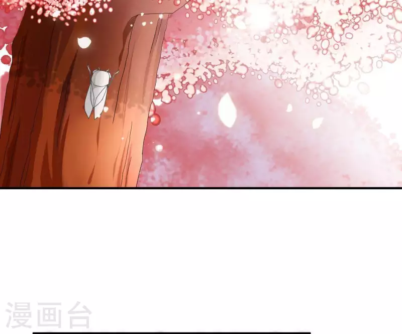 第1话 &ldquo;猛&rdquo;匪劫人(1/2)-第1话