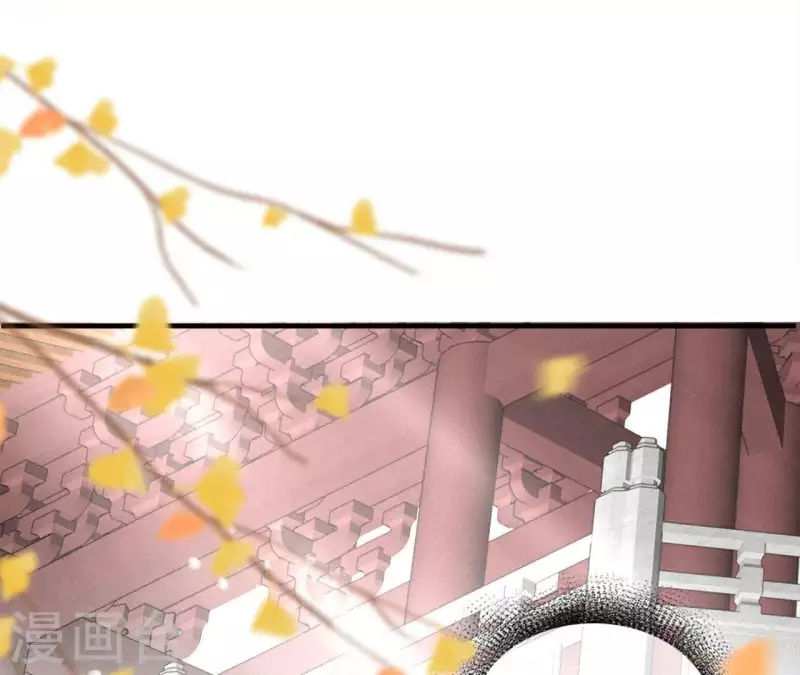 第23话 莲华盛会（三）(1/2)-第23话