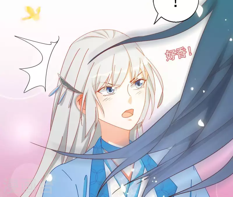 第35话 和离(1/2)-第35话