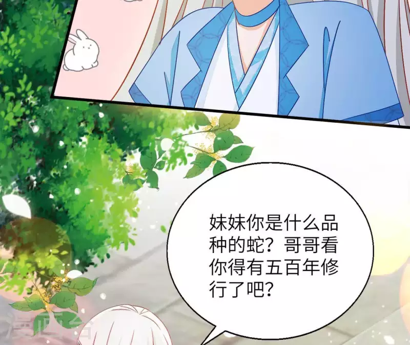 第35话 和离(1/2)-第35话