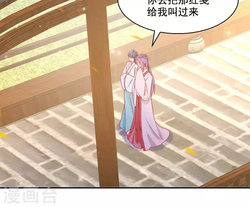 第81话 &ldquo;宠&rdquo;妾？(1/2)-第81话