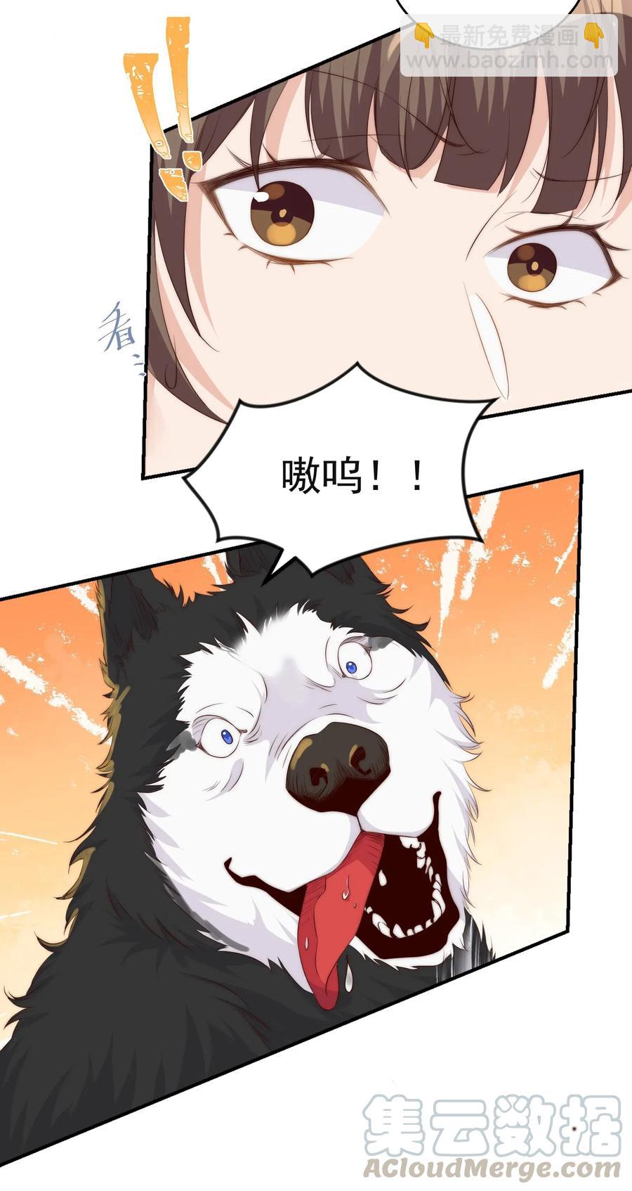 040 结亲(1/2)-第41话