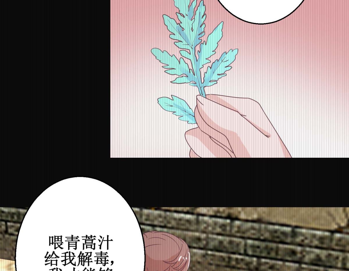 第112话 虎胎易筋丸-第113话