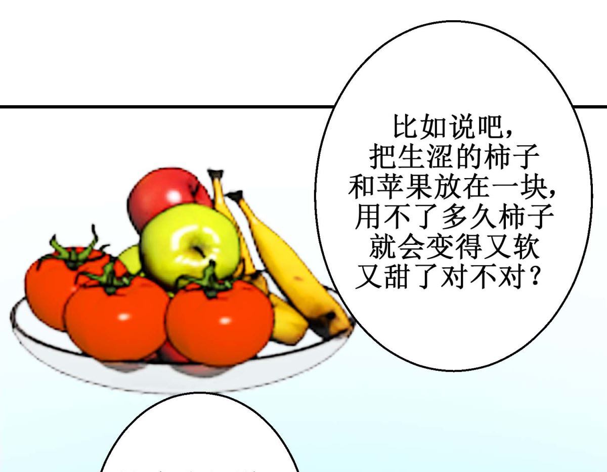 第74话 催熟剂(1/2)-第75话