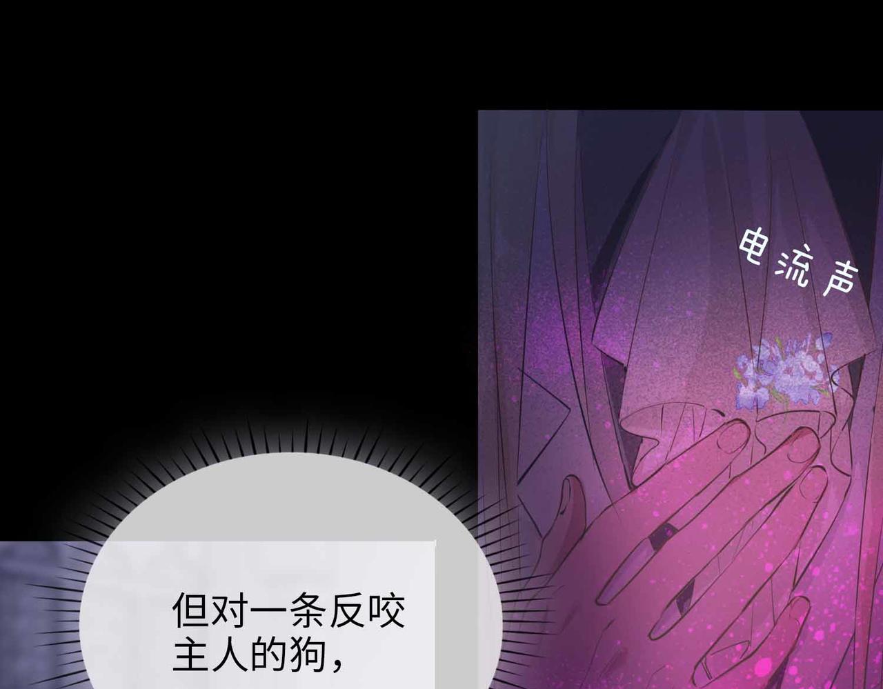 第81话 第一季完结篇(1/4)-第91话