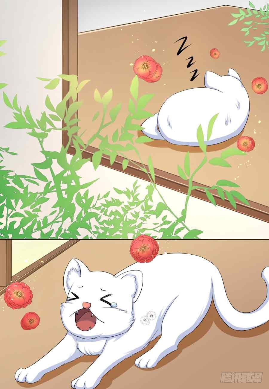 第37话-第37话