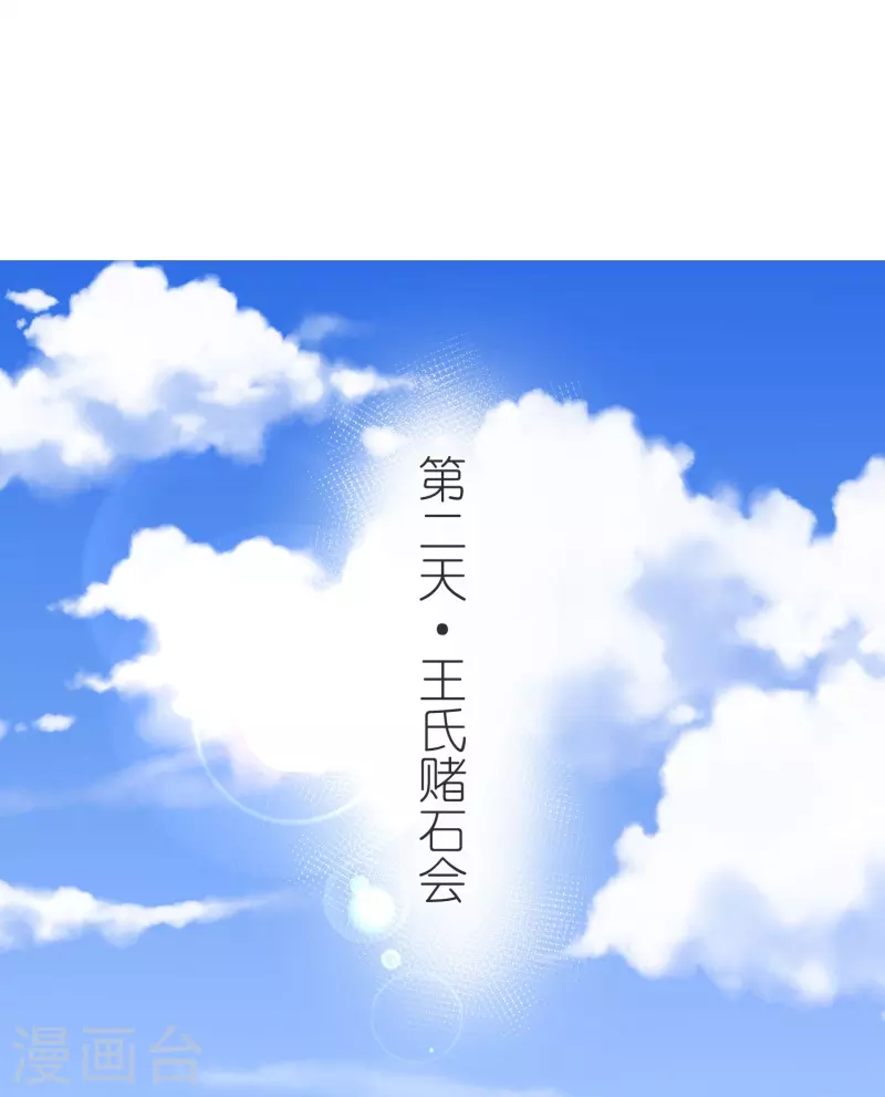 第137话 赌石会-第141话