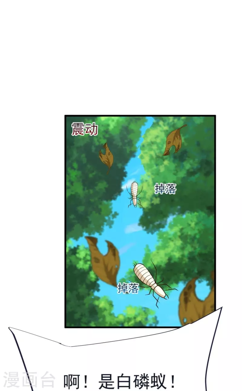 第61话 穿山兽和百磷蚁-第63话